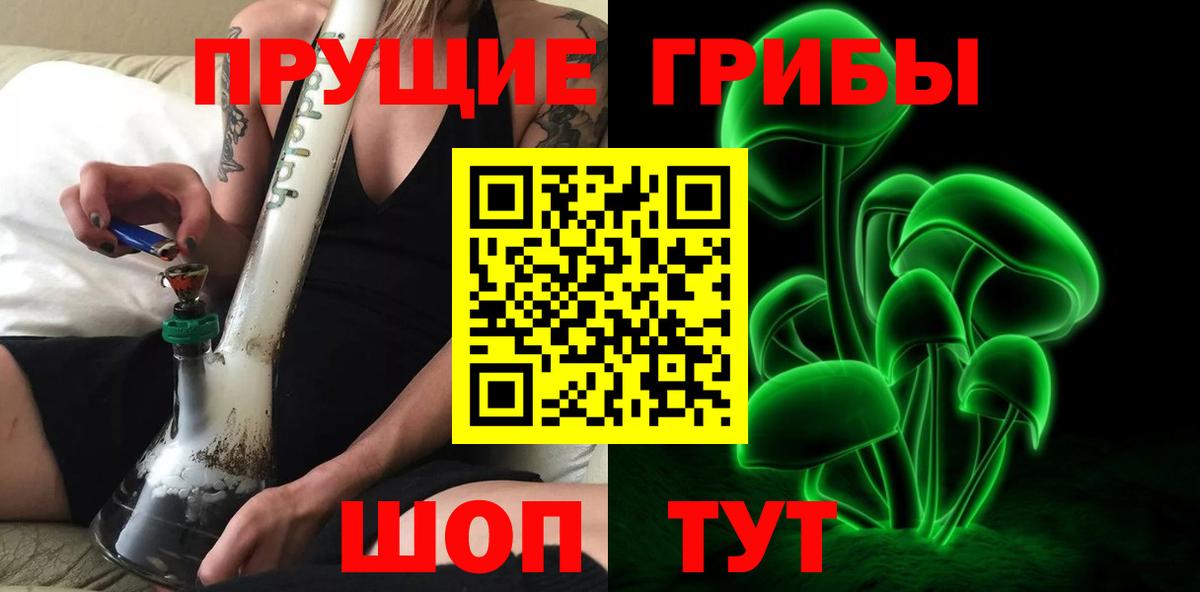 Псилоцибиновые грибы Cubensis Сочи