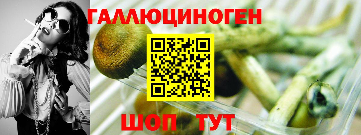 Сочи  Галлюциногенные грибы мицелий  Вход с VPN 